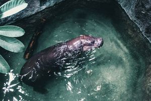 The Coolest Animals to Check Out at the Calgary Zoo